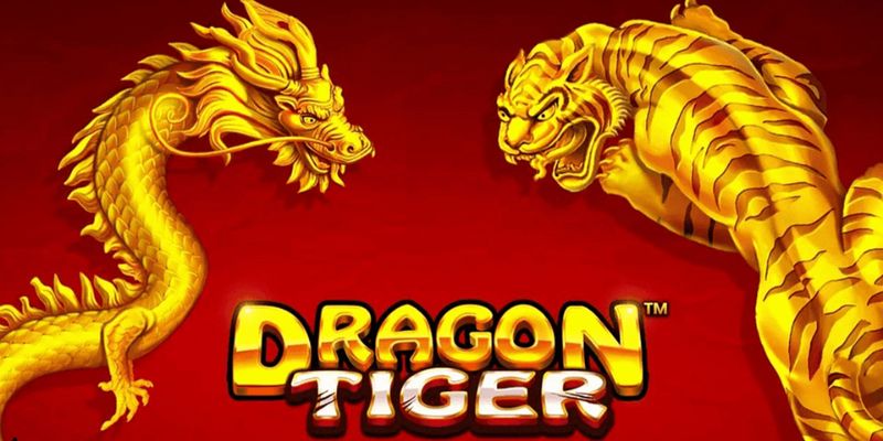 Tham gia đặt cược Rồng Hổ tại sảnh SA Gaming Kubet88