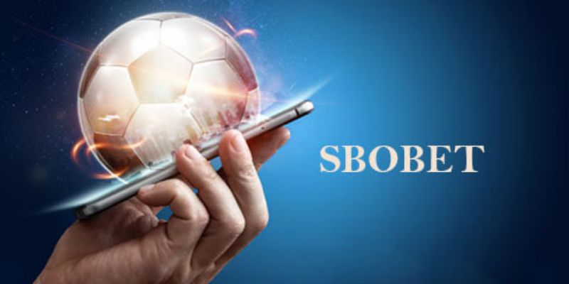 Cá độ bóng đá siêu hot cùng Sbobet nhà cái Kubet88