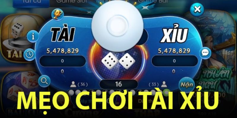 Kinh nghiệm khi tham gia chơi tài xỉu Kubet88 luôn thắng